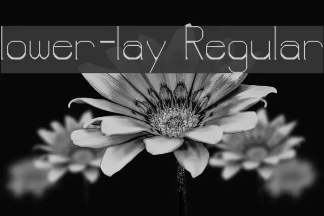 lower-lay Regular Example 2