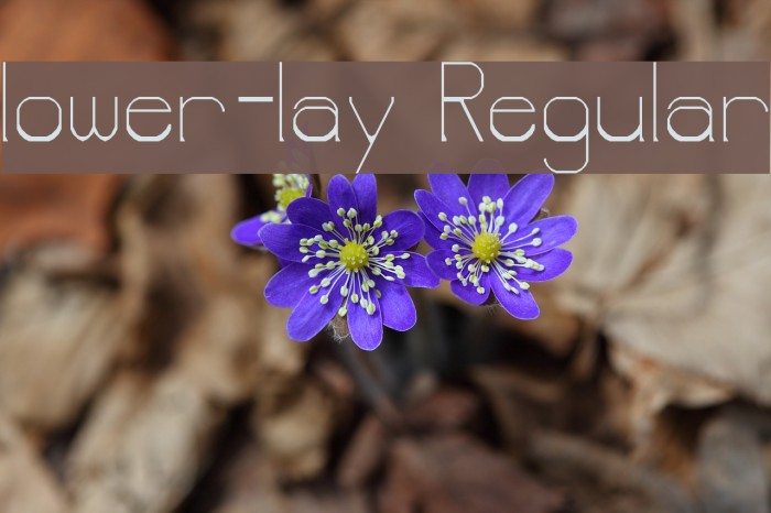lower-lay Regular Font examples