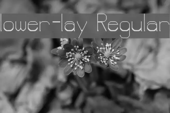 lower-lay Regular Example 3