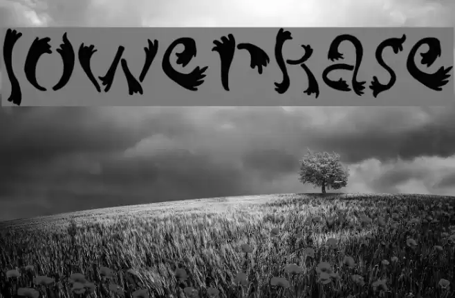 lowerkase Font examples