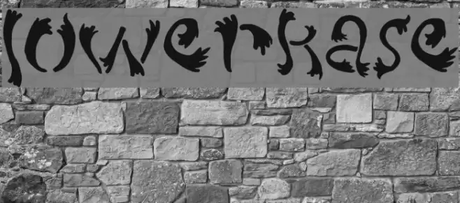 lowerkase Font examples