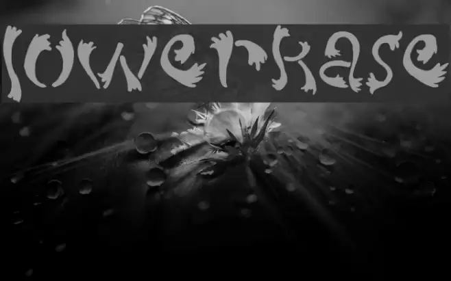 lowerkase Font examples