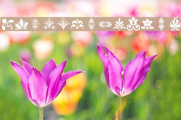 lpflowers2 Font examples