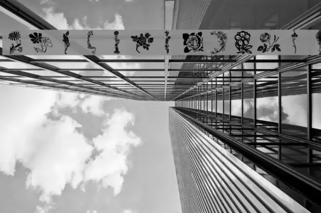 lpflowers Font examples