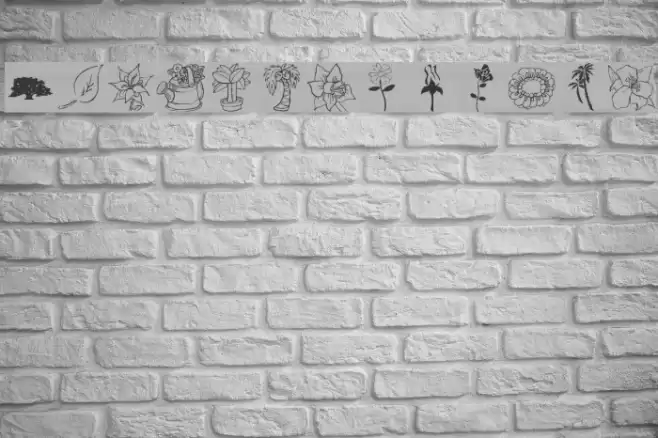 lpnature Font examples