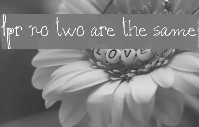 lpr no two are the same Font examples
