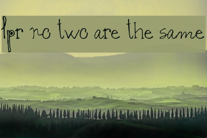 lpr no two are the same Example 3