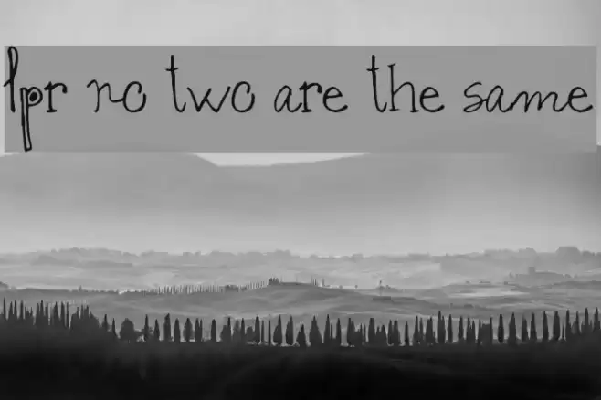 lpr no two are the same Font examples