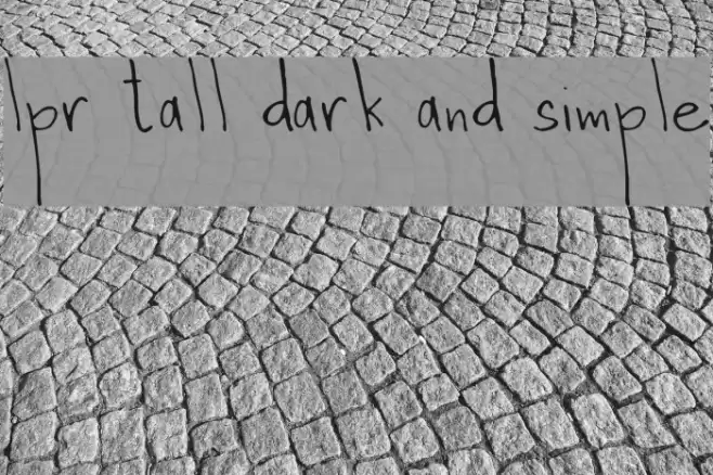 lpr tall dark and simple Polices examples