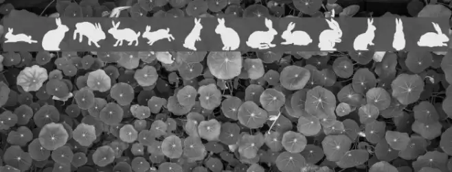 lprabbits1 Font examples