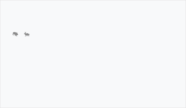 lprabbits1 Business Card