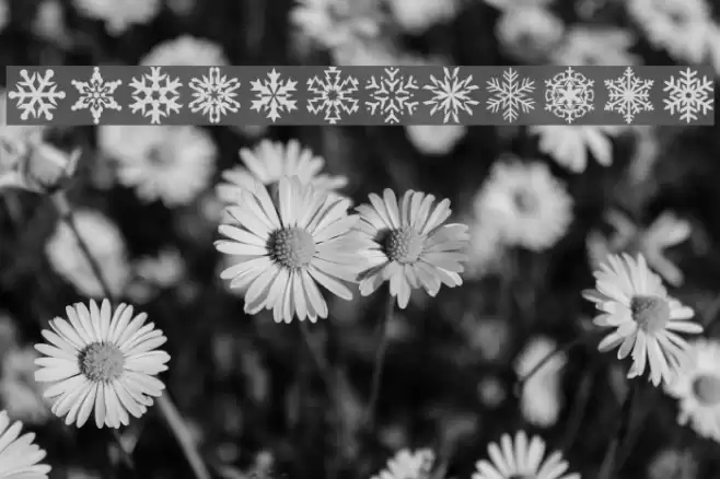 lpsnowflake Font examples