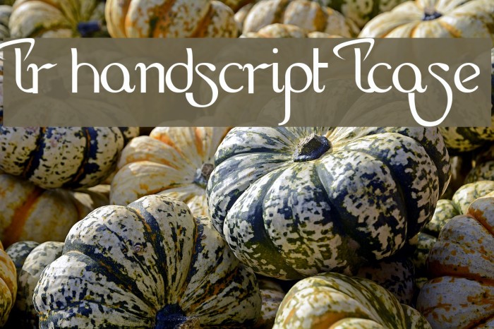 LR HandScript LCase Font examples