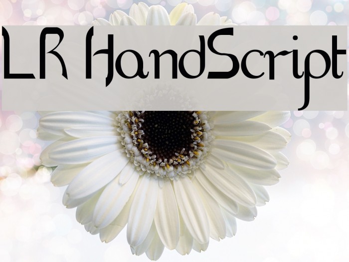 LR HandScript Font examples