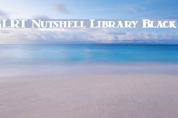 LRT Nutshell Library Black Font examples