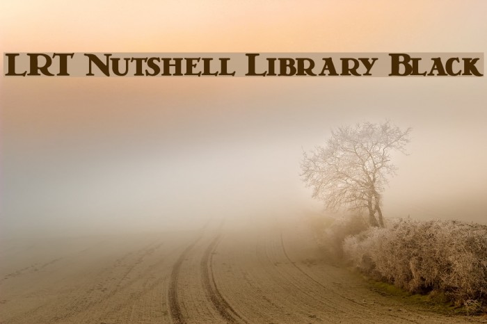 LRT Nutshell Library Black Font examples