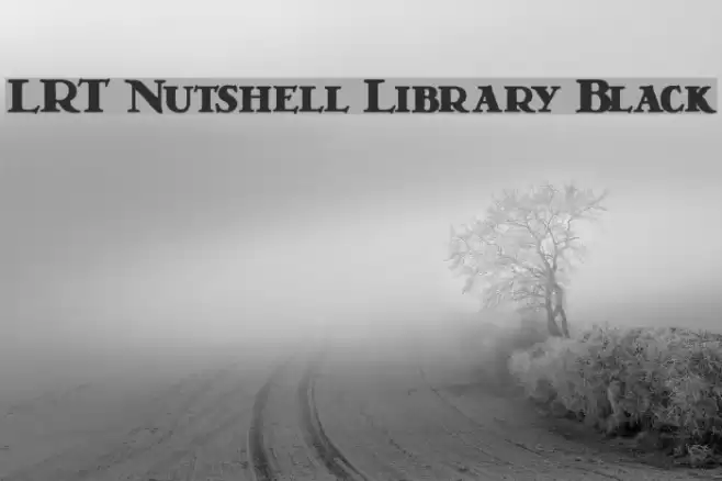 LRT Nutshell Library Black لخطوط تنزيل examples