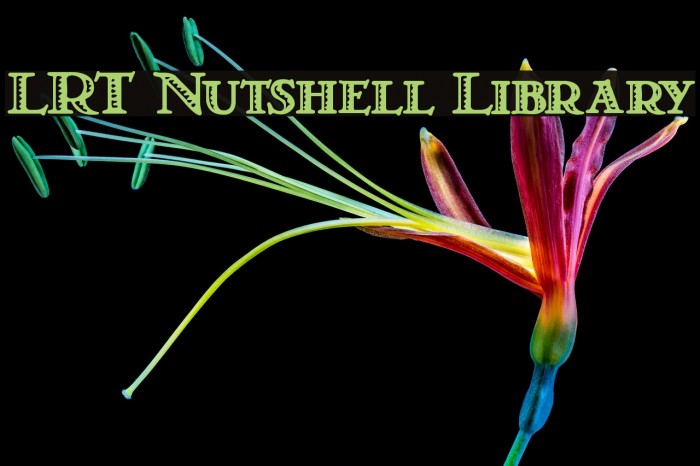 LRT Nutshell Library لخطوط تنزيل examples