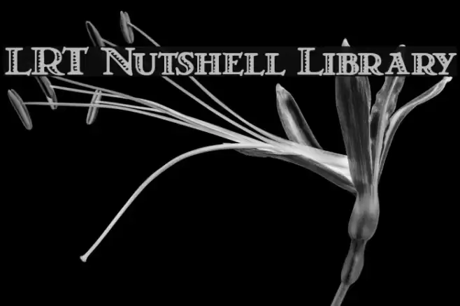 LRT Nutshell Library خط examples