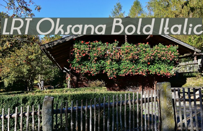 LRT Oksana Bold Italic Example 2