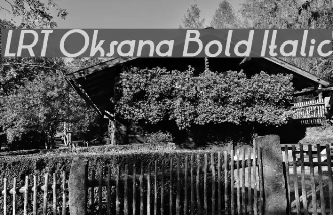 LRT Oksana Bold Italic Font examples