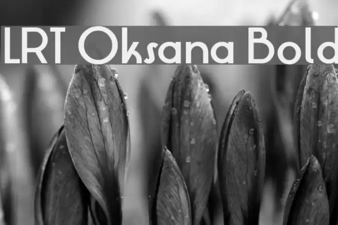 LRT Oksana Bold Font examples
