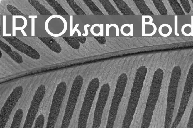 LRT Oksana Bold Font examples