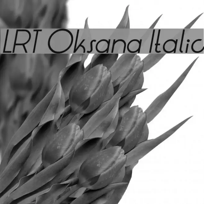 LRT Oksana Italic Example 2