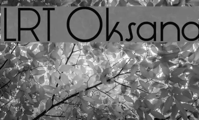 LRT Oksana Example 1