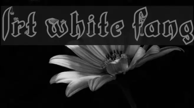 LRT White Fang Example 3