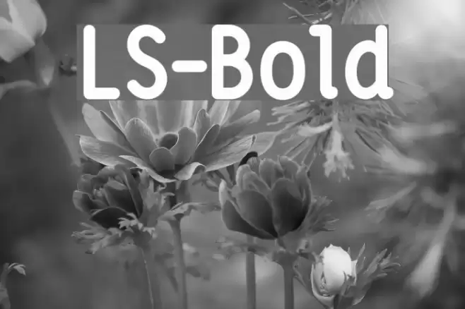 LS-Bold Font examples
