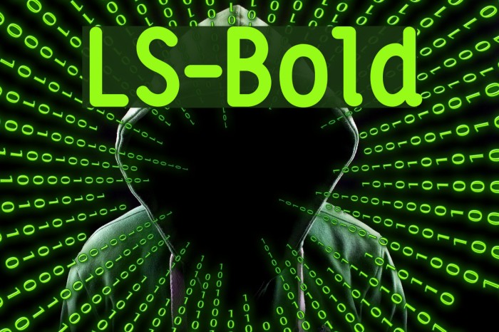 LS-Bold Font examples