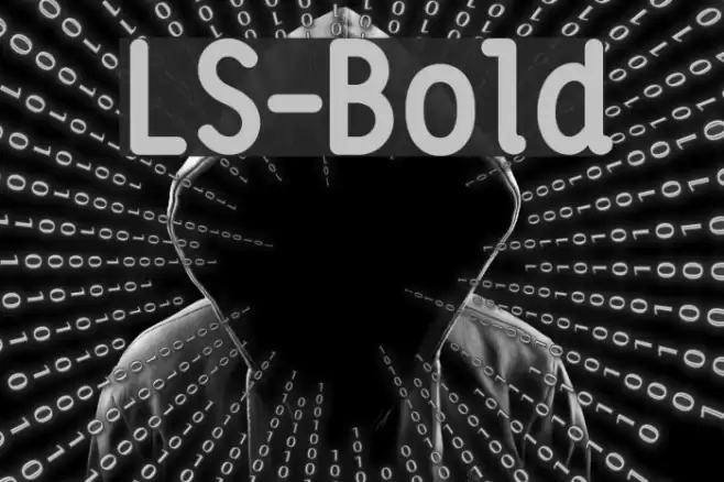 LS-Bold Font examples