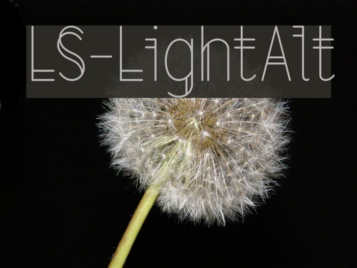 LS-LightAlt Font examples