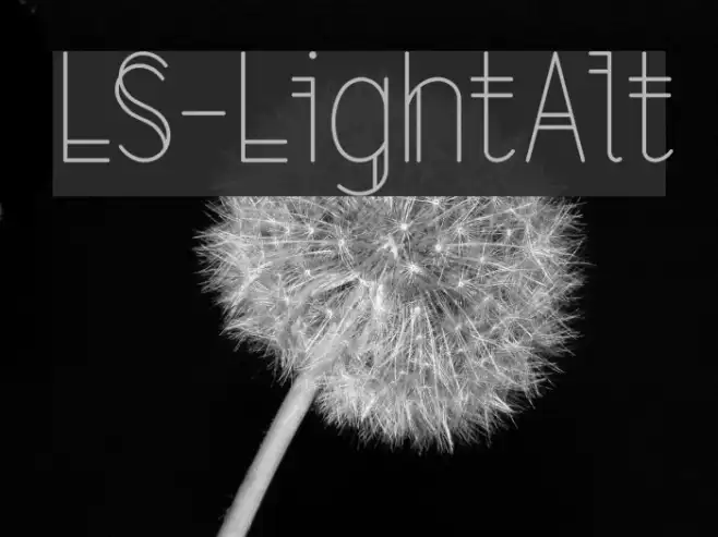 LS-LightAlt Example 2