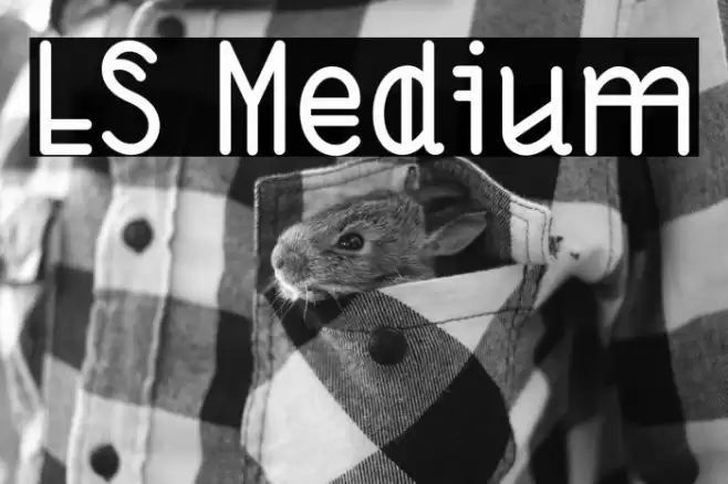 LS Medium Font examples