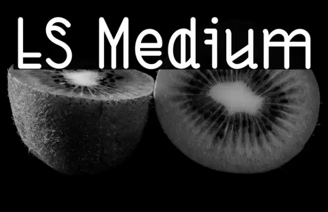 LS Medium Font examples