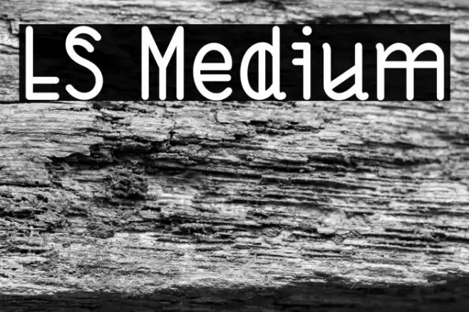 LS Medium Font examples