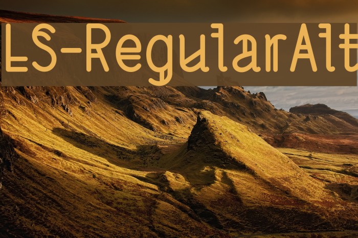 LS-RegularAlt Font examples