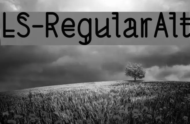 LS-RegularAlt Example 3