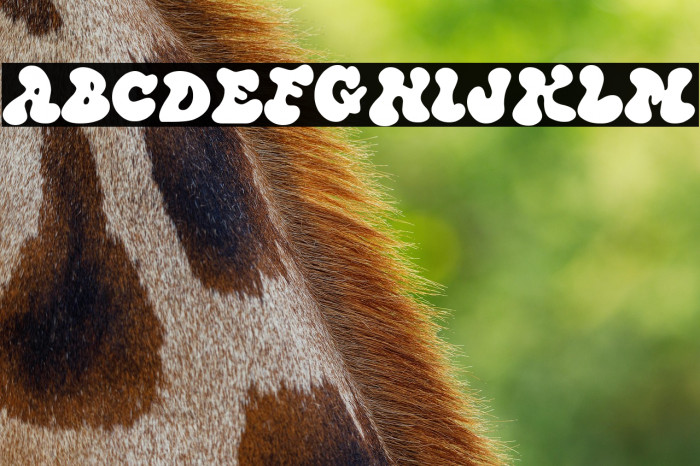 LSD in the Water Example 2