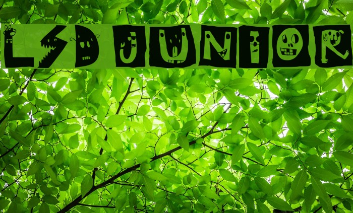LSD junior फ़ॉन्ट examples