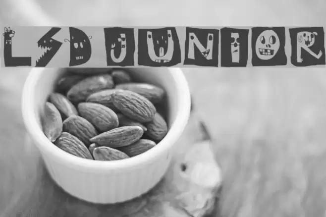 LSD junior Font examples