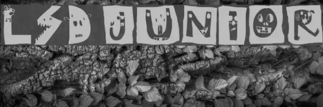 LSD junior Font examples