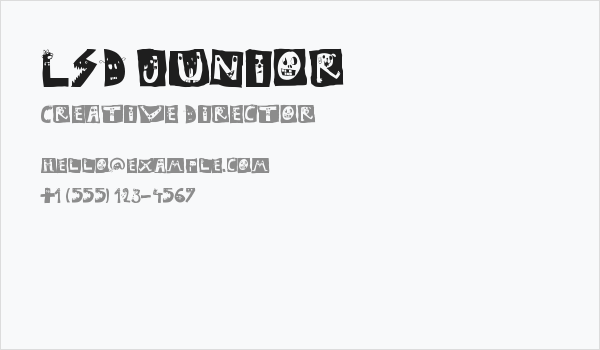 LSD junior Business Card