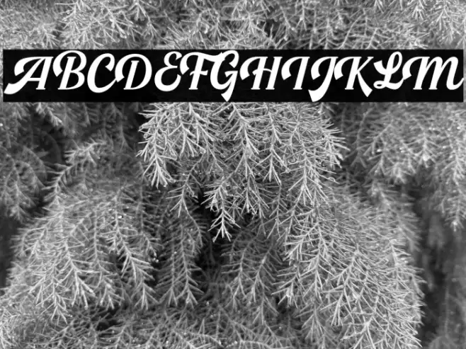 LSHarseyRegularDemo Example 1