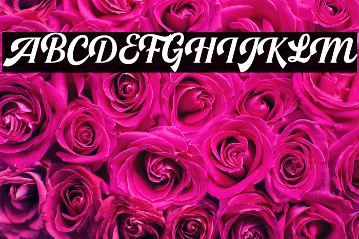 LSHarseyRegularDemo Example 3