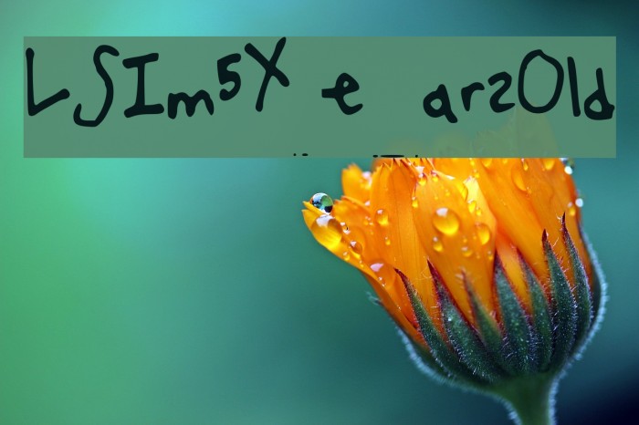 LSIm5YearsOld Font examples