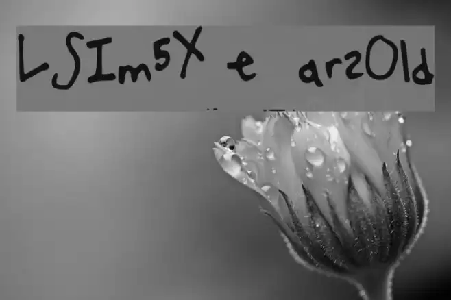 LSIm5YearsOld Font examples