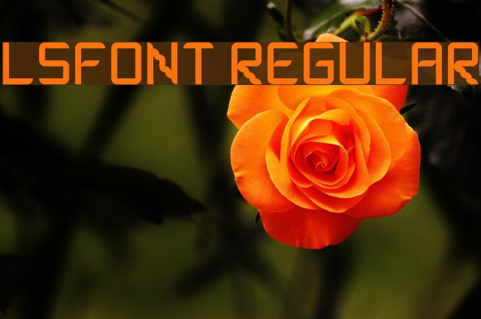 lsfont Regular Font examples